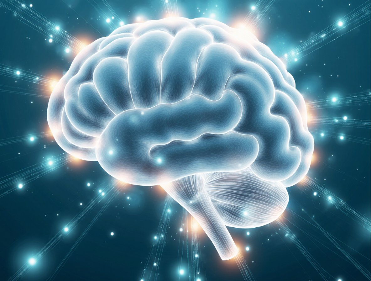 The Inner Operating System: Building a Clarity-Driven Mindset